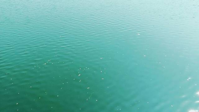 红石沟休闲生态农场