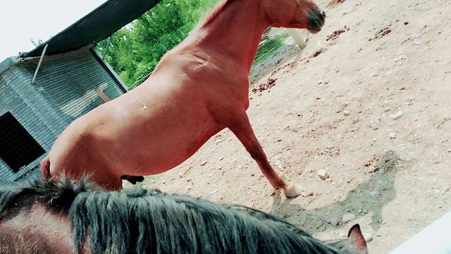 红石沟休闲生态农场