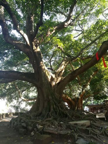 贵州木城丽水旅游景区