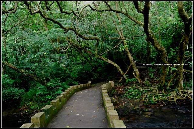 九龙瀑布群国家森林公园