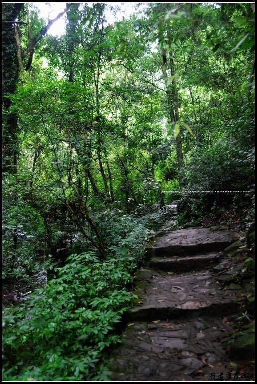 九龙瀑布群国家森林公园