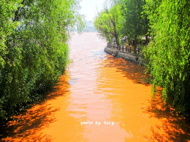 黄河百里风情线