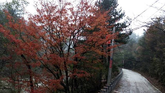 红二十八军军政旧址