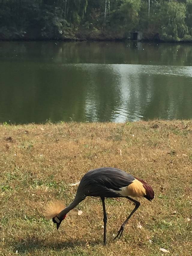 海滨国家森林公园