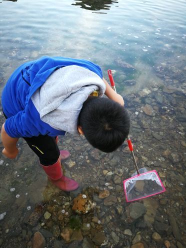 兴成孙家赶海园