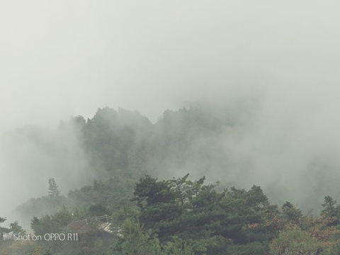 秦岭天竺山旅游景点攻略图