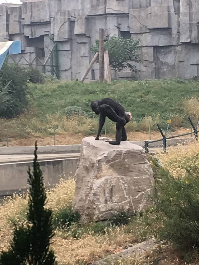 石家庄极地海洋世界