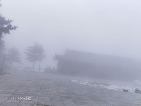 秦岭天竺山旅游景点攻略图