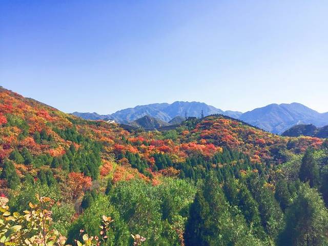 八达岭国家森林公园-红叶岭
