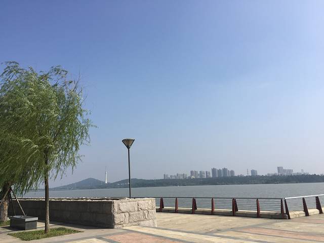 龙子湖
