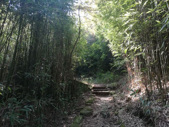 司空山风景名胜区