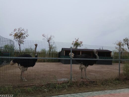 羊毛沟花海湿地