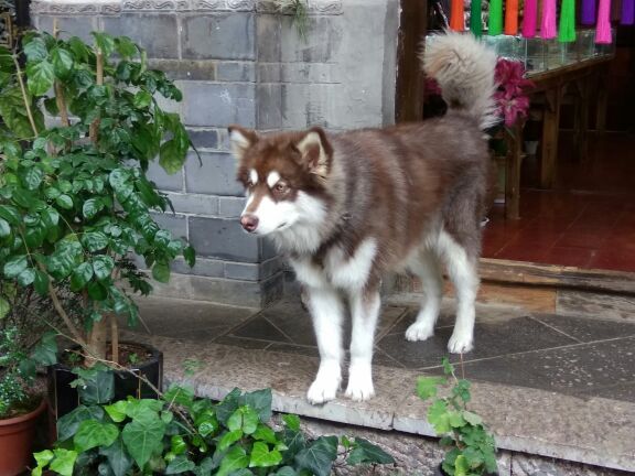 云南民族大观园