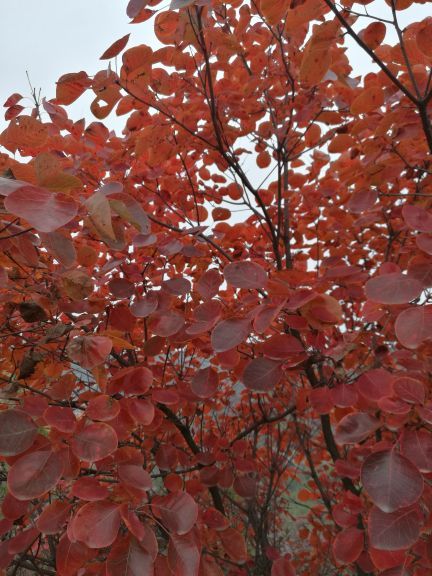 三王峪山水风景园