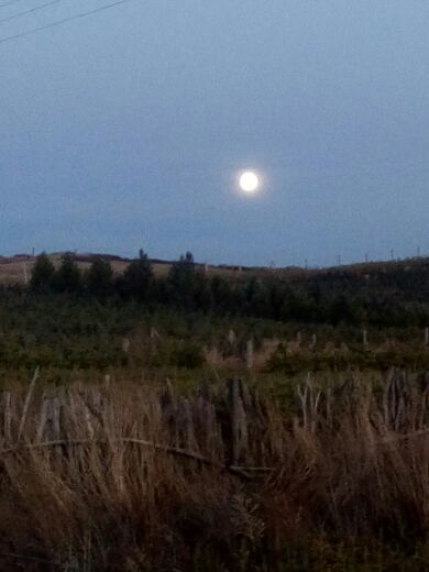 黄岗梁国家森林公园