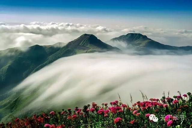 阿西里西韭菜坪