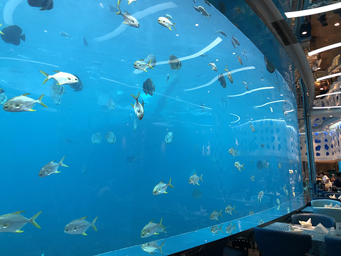 瑞德姆美人鱼海底演艺主题餐厅(亚龙湾店)旅游景点攻略图