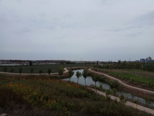 羊毛沟花海湿地