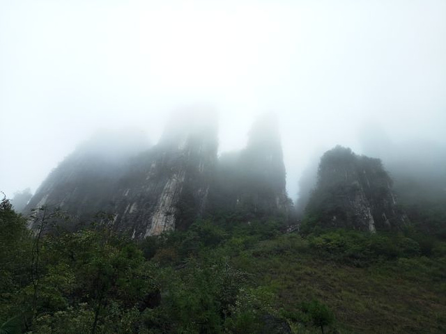 "景区路线规划有问题，每个人都必须走完全程，上上下下几座山，想半途而废_云龙地缝"的评论图片