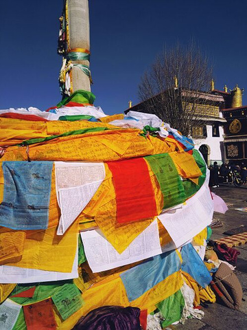 "布达拉宫和大昭寺的门票一共加起来是226块钱导游真的很细心很认真的带我们把布达拉宫和大昭寺全逛了个遍_拉萨河"的评论图片