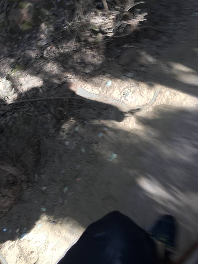 拉市海纳西古马场