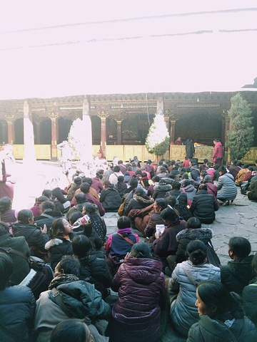 "布达拉宫和大昭寺的门票一共加起来是226块钱导游真的很细心很认真的带我们把布达拉宫和大昭寺全逛了个遍_拉萨河"的评论图片