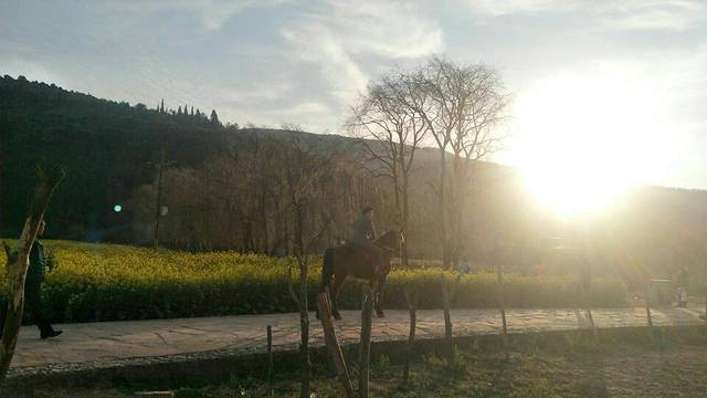 金色螳螂川风景区