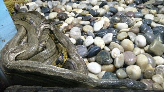 石家庄极地海洋世界