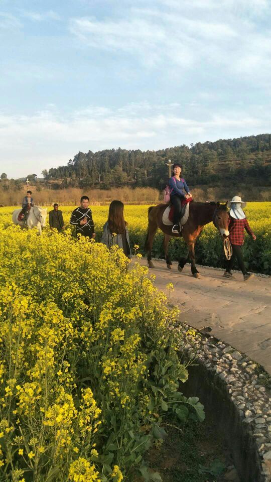 金色螳螂川风景区