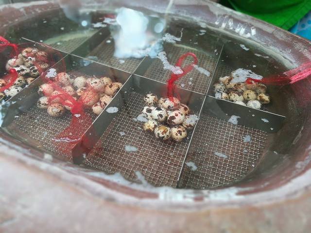 古象温泉度假村