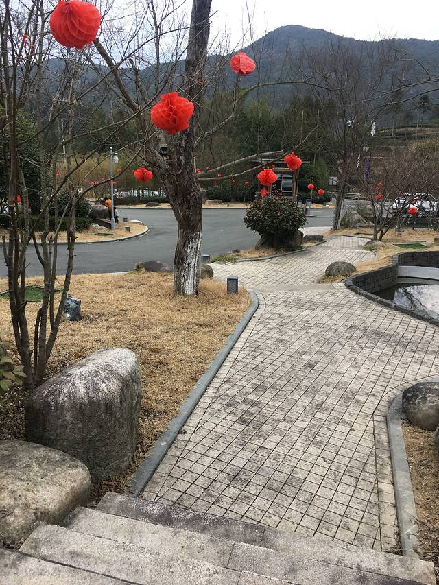 莲云谷温泉