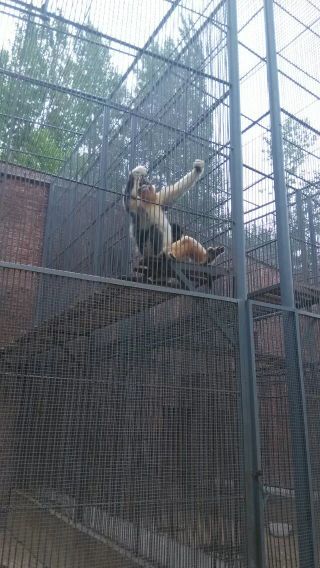 神州荒漠野生动物园