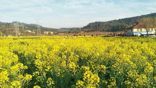 金色螳螂川风景区
