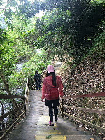 "_五指山水满河热带雨林风景区"的评论图片