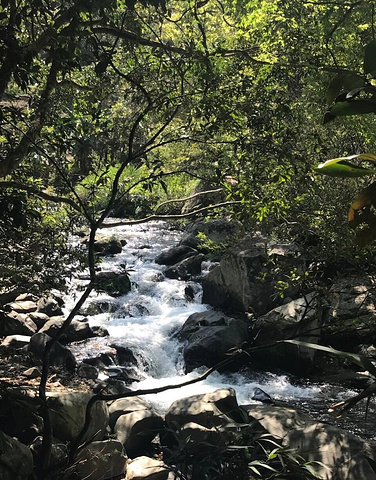 "_五指山水满河热带雨林风景区"的评论图片