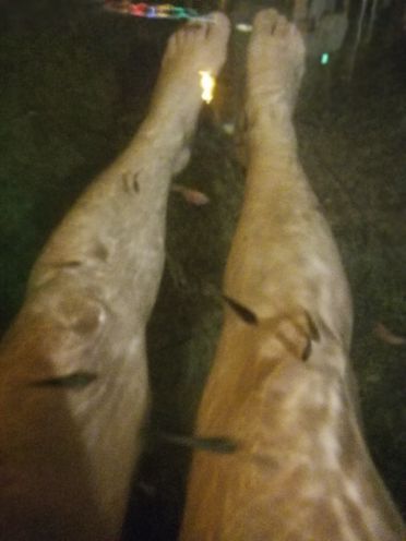 红橡树·御泉汤温泉度假村