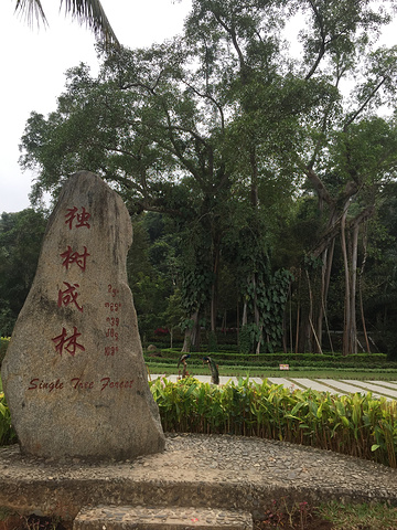 "对这次行程安排很满意，很棒的一次体验！很有特色的午饭_中缅边境公园"的评论图片