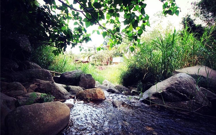 "_五指山水满河热带雨林风景区"的评论图片