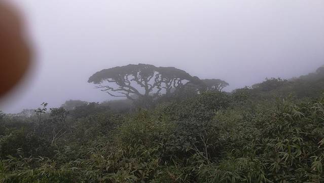 金秀圣堂山景区