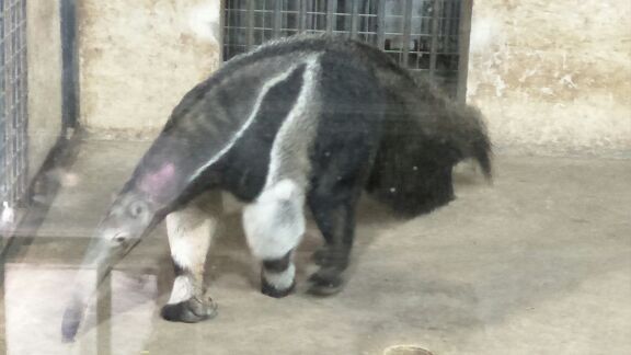 石家庄极地海洋世界