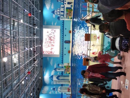 中赫海豚湾海洋公园