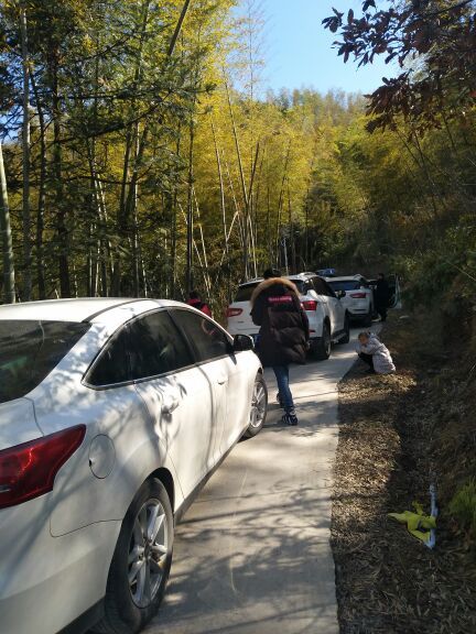 武义千丈岩景区