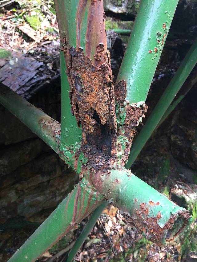 杭州西山国家森林公园白龙潭景区