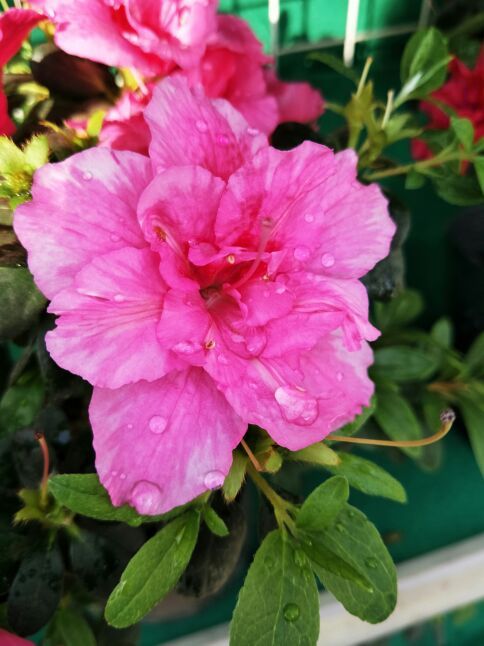 锦绣田园风景区