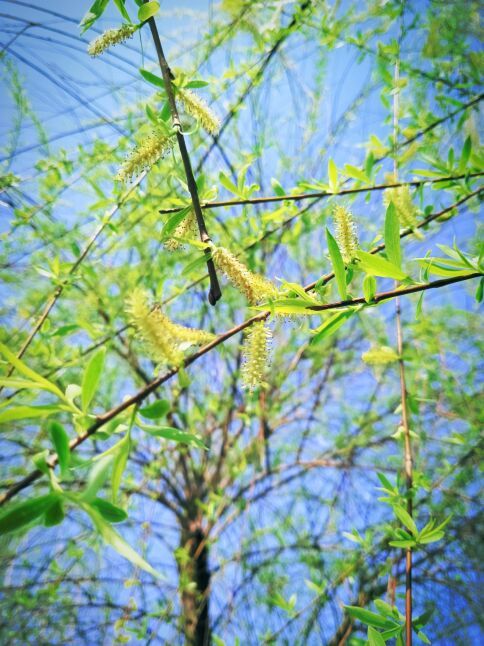 锦绣田园风景区