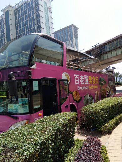 澳门开篷观光巴士