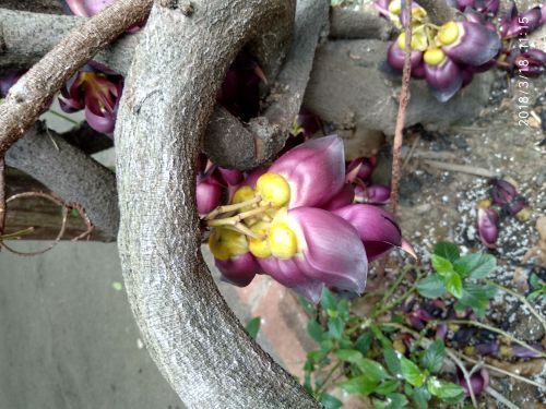 三水森林公园孔圣园