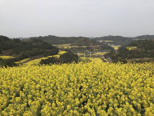 德阳红泉桃花谷