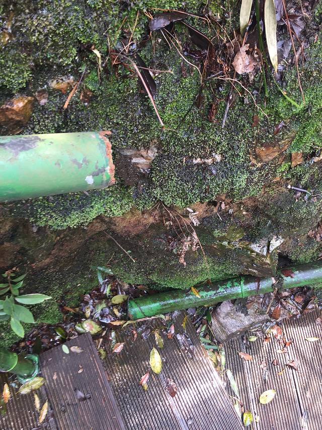 杭州西山国家森林公园白龙潭景区