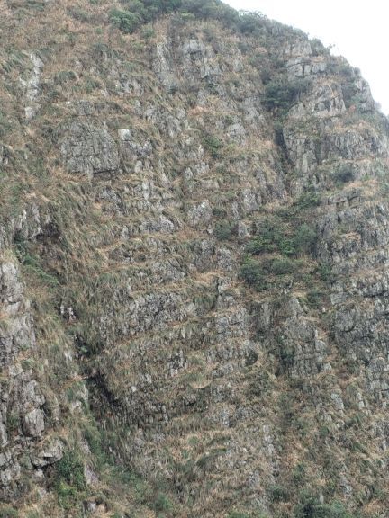 平天山国家森林公园